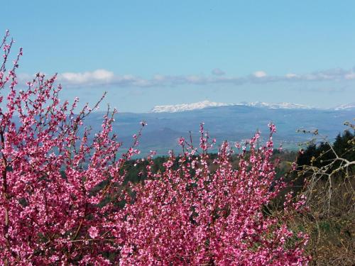 Le Vallon d'Armandine, gîte écologique Auvergne Saint-Hilaire france