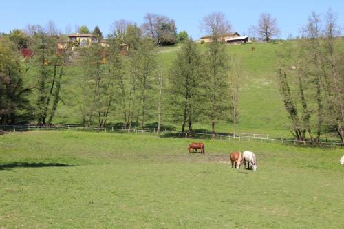 Le Vallon de Saint André Limonest france