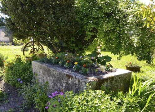B&B / Chambre d'hôtes Le Vieux Noyer 1c chez monnereau Réaux
