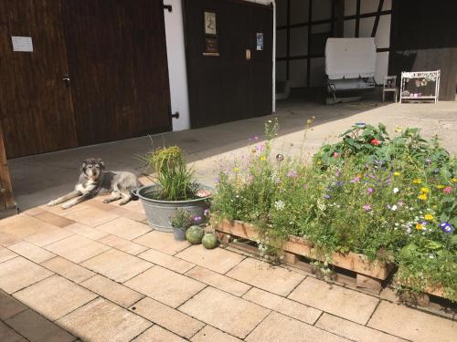 Leben im Landhausstil Bad Rodach allemagne