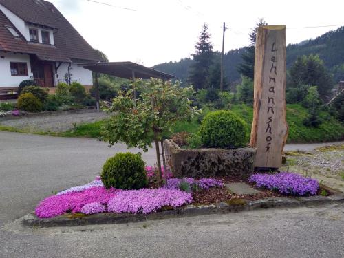 Appartement Lehmannshof Ferienwohnungen Kirnbach 5 Zell am Harmersbach