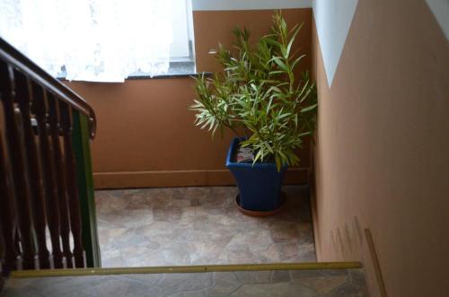 Hôtel LEKOMA Pension Treuenbrietzener Straße 23 Niedergörsdorf
