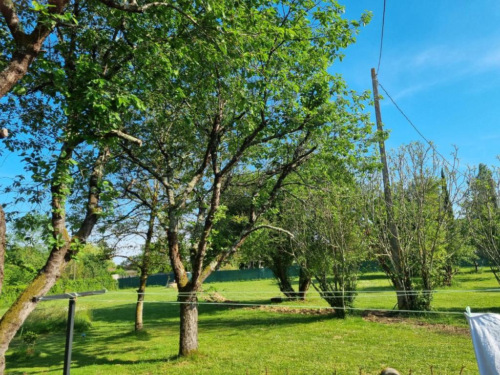 Les 3 cèdres Miramont-de-Guyenne france