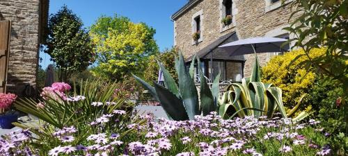 B&B / Chambre d'hôtes Les 3 Koïs 1 lieu dit sainte Marguerite Riec-sur-Bélon