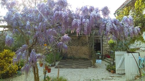 Les 3 roses Villeneuve-sur-Yonne france