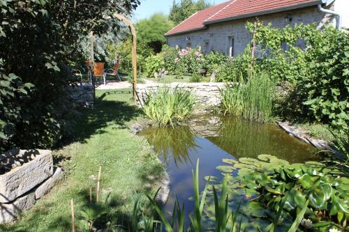 les agnates Flagey-Échézeaux france