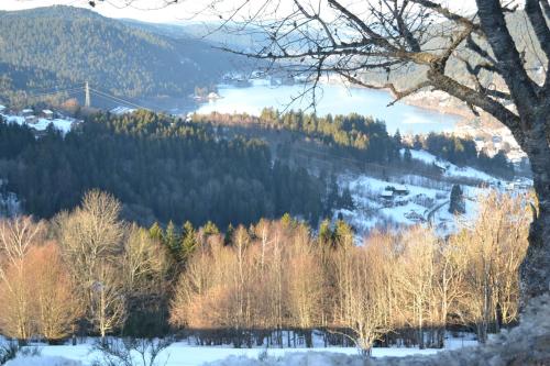 Appartement Les Angéliques 182 Chemin des Gouttridos Gérardmer