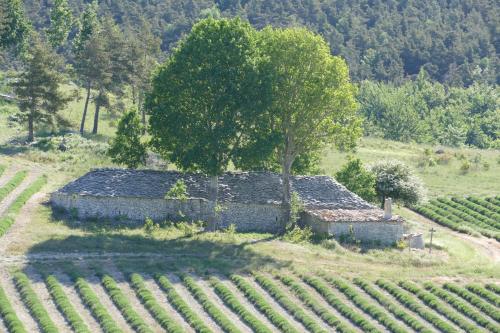 Les bois rouges La Rochegiron france