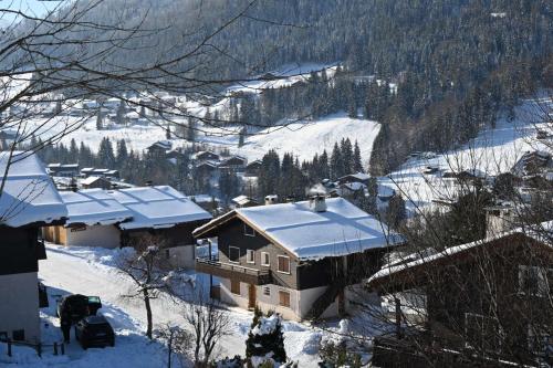 Les bouquetins La Clusaz france