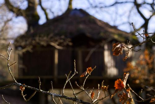 Les Cabanes de Brassac Brassac france