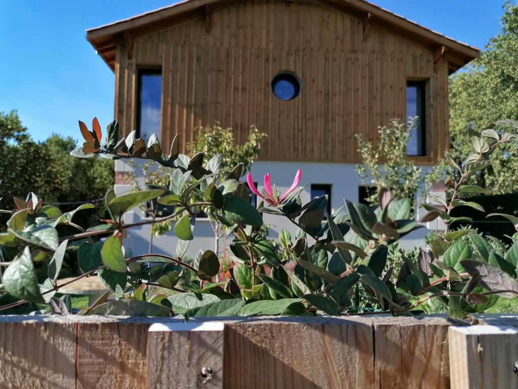 Maison d'hôtes Les Callunes chambres d'hôtes et location meublée à 800 m de la plage ! 8 Route de Bordeaux, 33138 Lanton