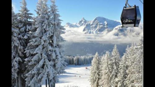 Les Carroz d'Araches Les Carroz d\'Arâches france