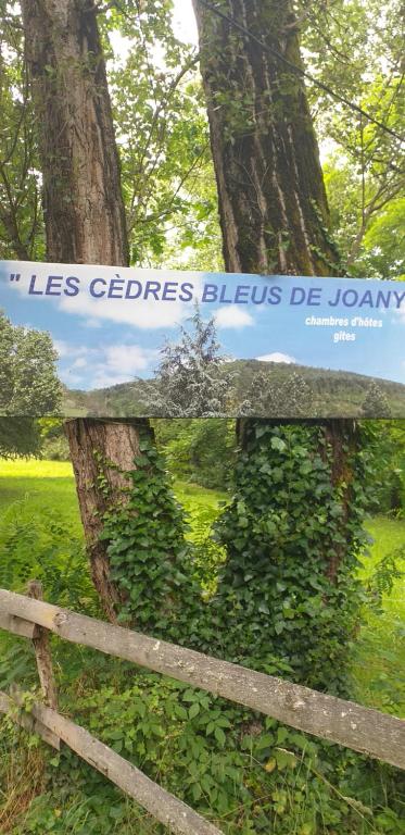 Maison d'hôtes Les Cèdres Bleus de Joany Route de Joany, 12110 Viviez