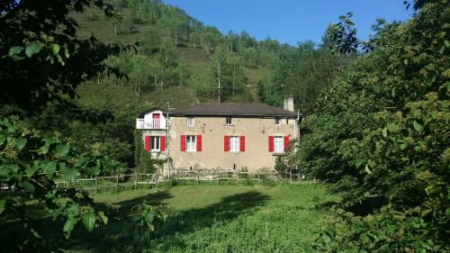 Les Cèdres Bleus de Joany Viviez france