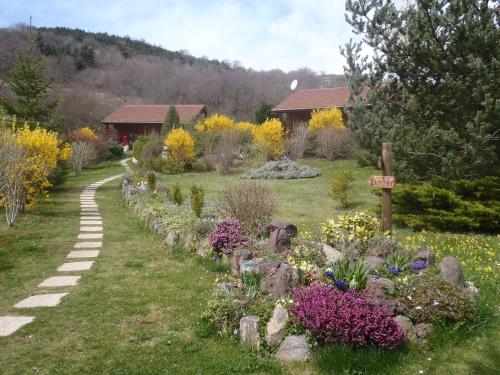 Chalet LES CHALETS DE LA VIGNE GRANDE Route de Saurier- La Vigne Grande Saint-Floret