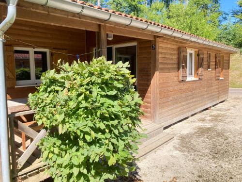 Les chalets du Lac - Passavant-La-Rochère Passavant-la-Rochère france