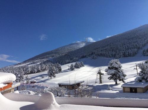 Chalets Les Chalets Du Mont Serein LE MONT SEREIN SKI SERVICE Beaumont-du-Ventoux