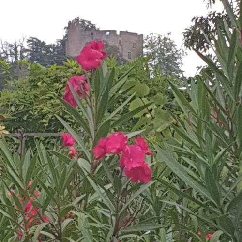 les chambres de Mélis Crémieu france