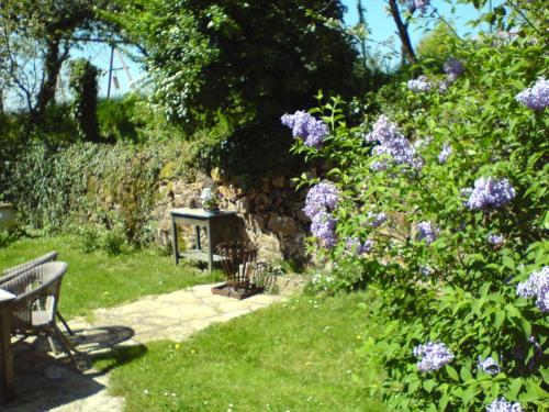 Les Champys Saint-Péreuse france