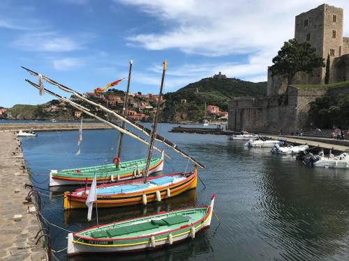 Les Chênes-lièges d'Ambeille Collioure france