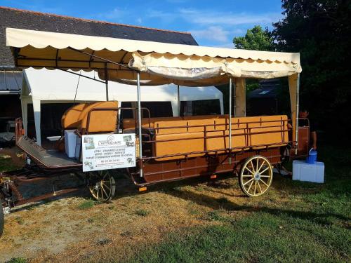 LES CHEVAUX DE L'HIPPOCAMPE Mont-Dol france