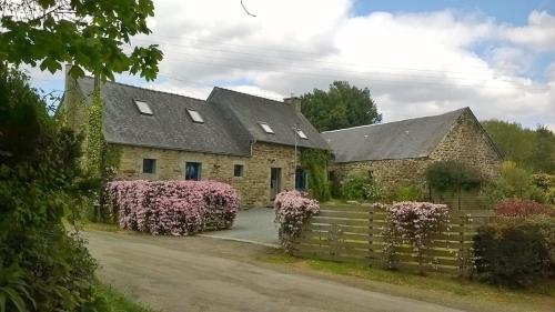 Les Chouettes Callac france