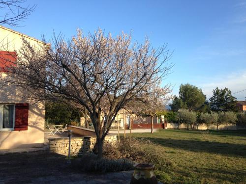 Les Coutilles Cabrières-dʼAvignon france