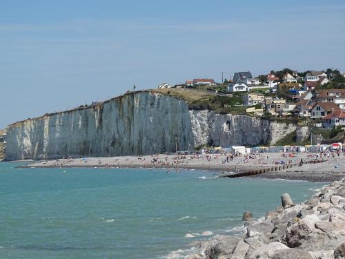 Les Cygnes Criel-sur-Mer france