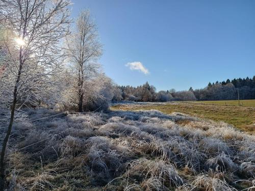 Les Ecureuils Revin france