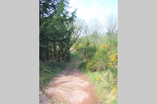 Maison de vacances Les Farfadets- Forêt de Brocéliande 7 Rue des Vignes Tréhorenteuc