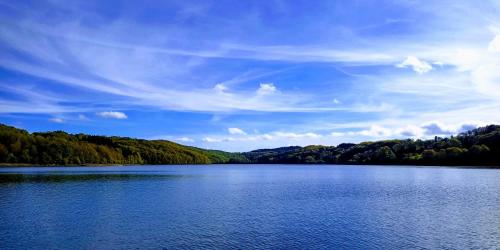 Les Fées du lac *** Nages france