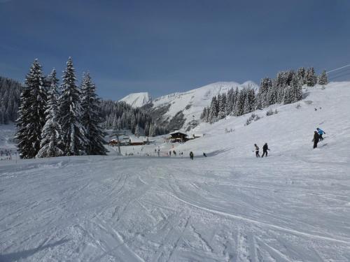 Appartement Les Fledd's 784 Route de Savoie La Chapelle-dʼAbondance