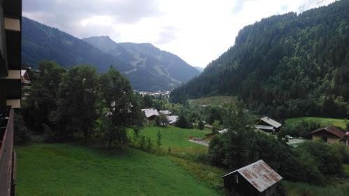 Les gentianes Châtel france