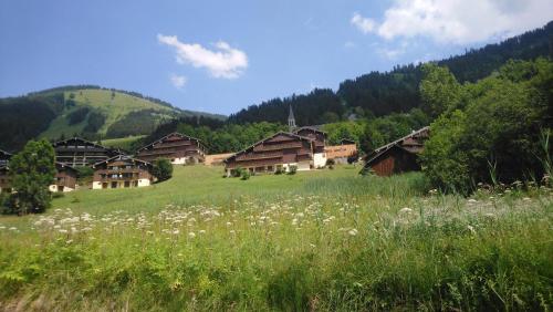 Appartement Les gentianes 297 Chemin des Ruisseaux Châtel