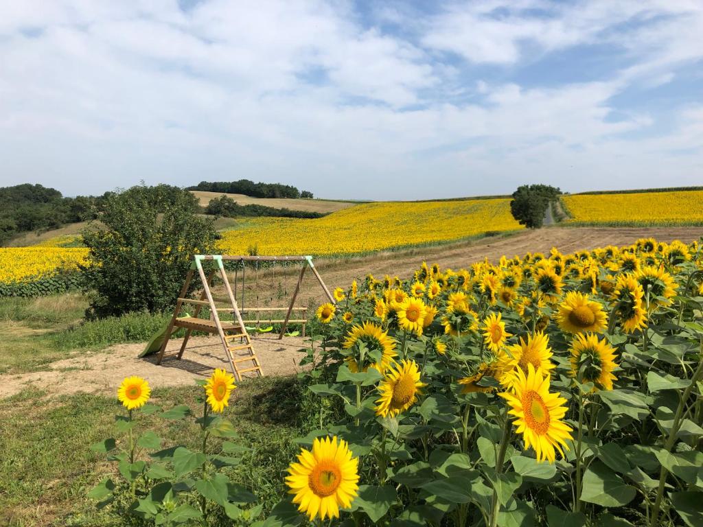 Maisons de vacances les gîtes d'en Julio En Juillo, 81700 Puylaurens