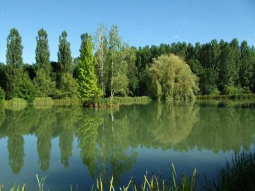 Les Gites de l'Etang de Sandanet Issac france