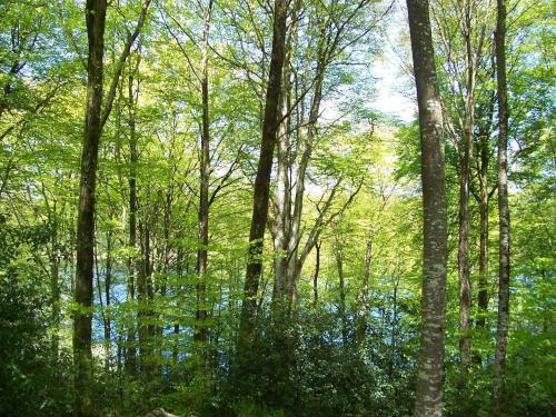 Les gîtes de la Planette - gîte 3 Saint-Amans-Valtoret france