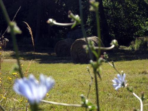 Maisons de vacances Les gites de Pétrocoriis 36 Chemin de Polignac Boulazac