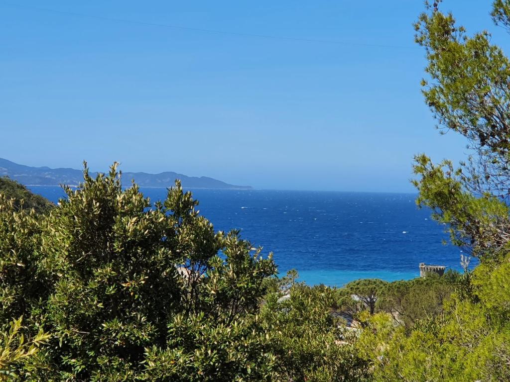 Appartements Les Gîtes du Cap Corse Marine de Negru, Olmeta di CapoCorso, 20217 Nonza