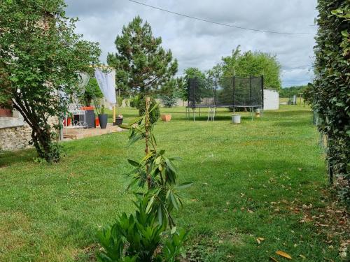 Maisons de vacances Les Gîtes Mina 5 Rue des Cantinets Mosnes