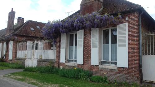 les glycines Cressonsacq france