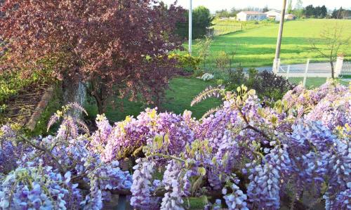 Les Glycines Bed & Breakfast Eymet france