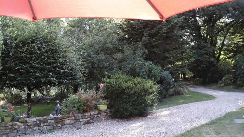 B&B / Chambre d'hôtes Les Grandes Oreilles 10A Chemin de Charnay Vierzon