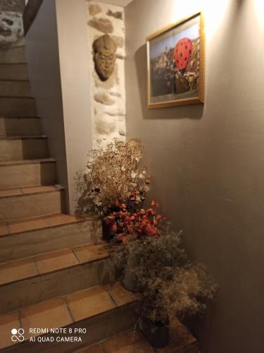 B&B / Chambre d'hôtes Les Granges De Cassard 59 IMPASSE DE LA HULOTTE Anglars