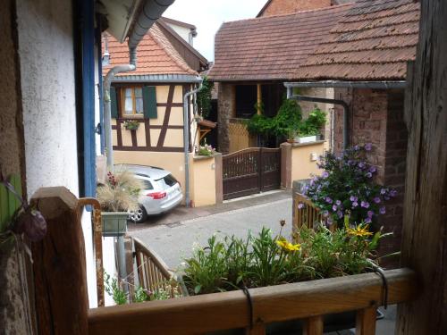 Les hirondelles Wangen france