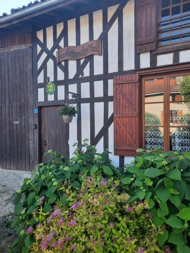LES HIRONDELLES - Les gîtes du Der - Puellemontier france