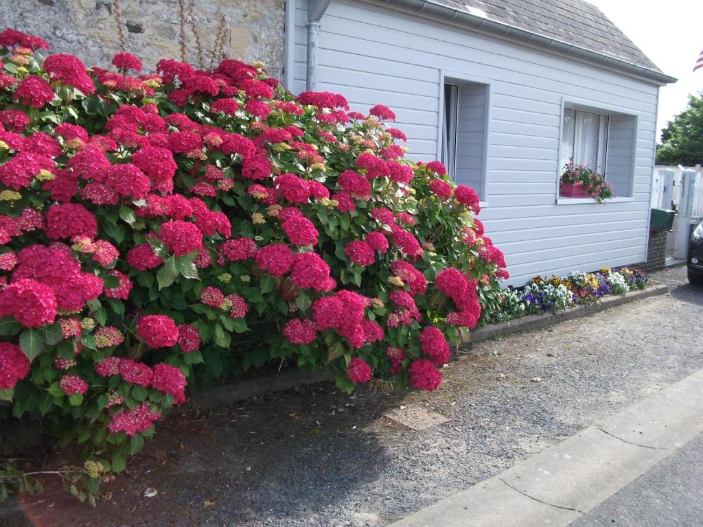 Appartement Les Hortensias 26 rue du Val, 14710 Saint-Laurent-sur-Mer