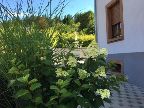 Appartement Les hortensias en Alsace - meublé de tourisme 3 étoiles 29 Rue du Presbytère - 1er Etage Barembach