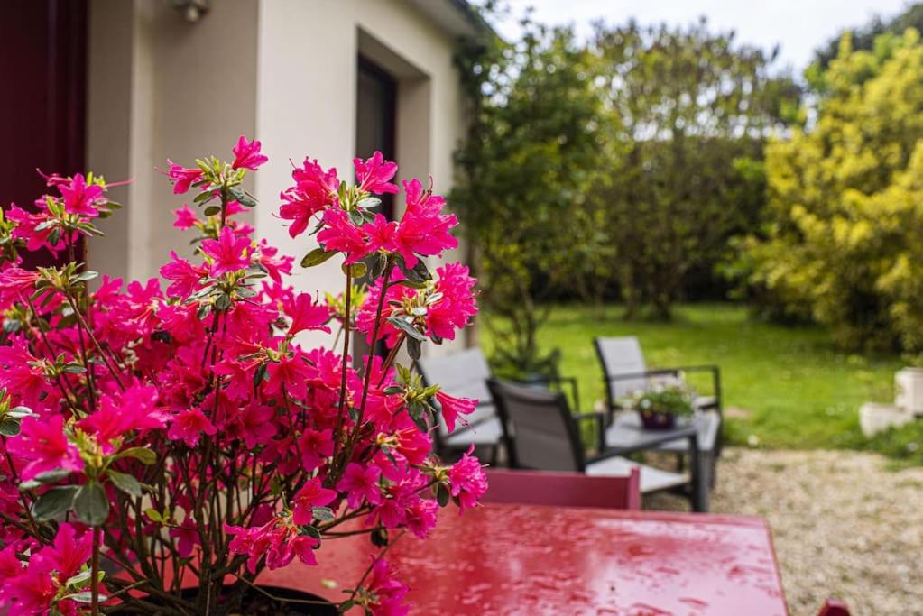 Maison de vacances Les Hortensias, Maison 8 personnes, proche mer, Le Pouldu 2 Le Kerou, 29360 Clohars-Carnoët