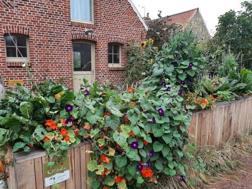 Maison de vacances Les Jardins d'Olus 1085 Rue Jean Jaurès Wandignies-Hamage